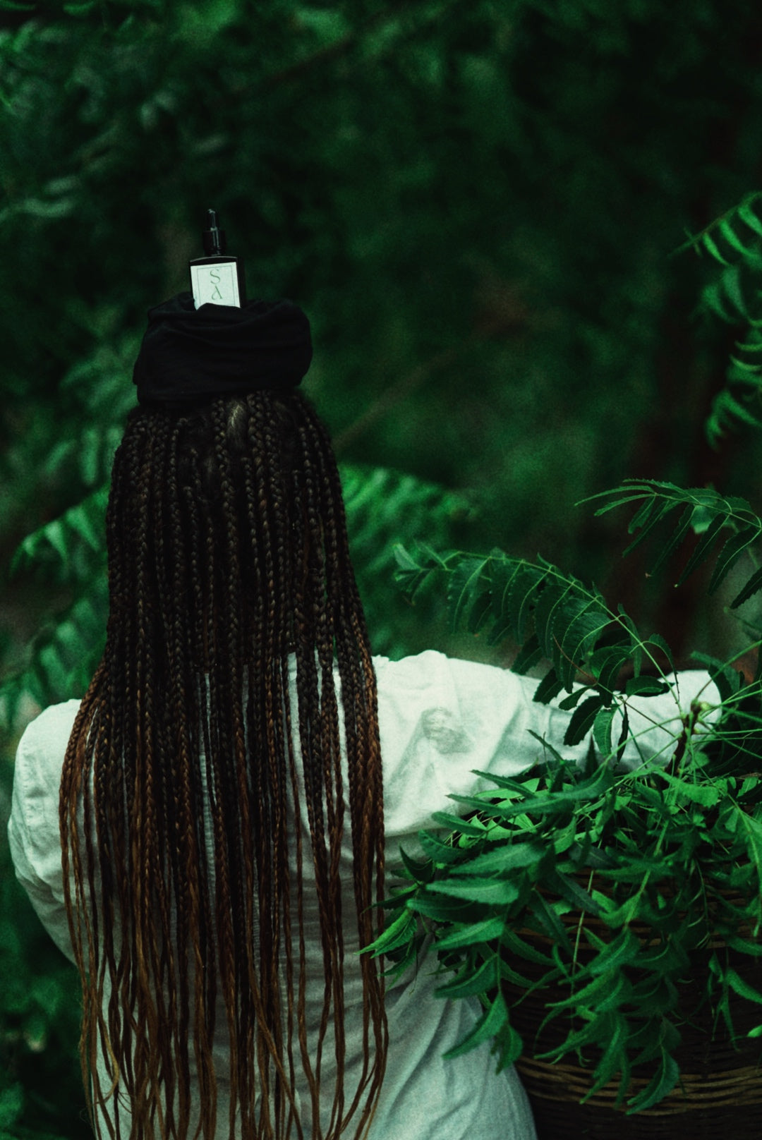 Haitian Neem & Moringa universal body Oil