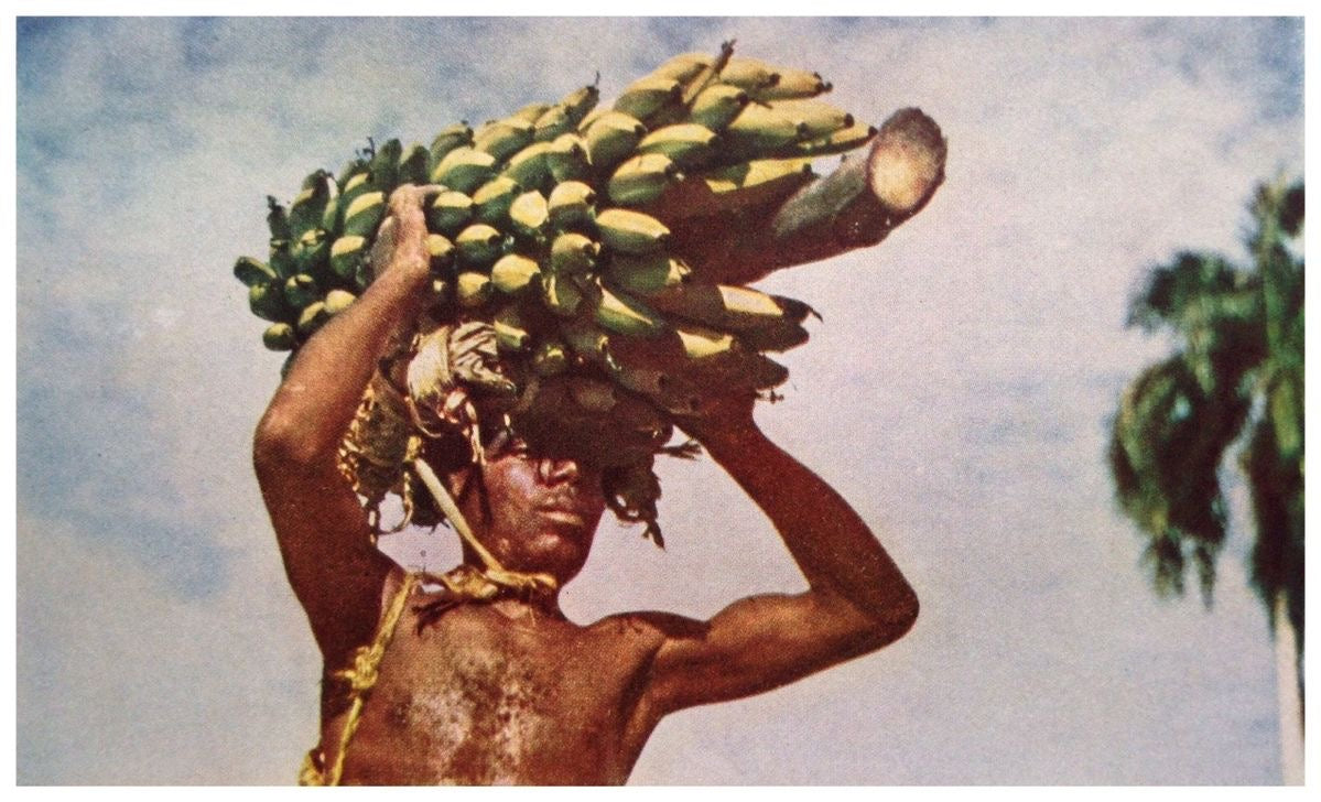 Grow a greener Haiti -Project